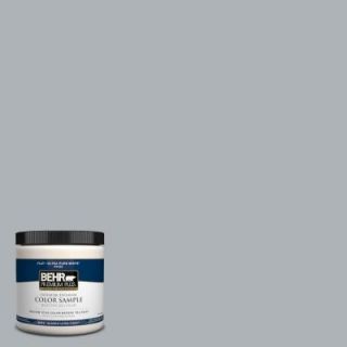 BEHR Premium Plus 8 oz. #N510 3 Stargazer Interior/Exterior Paint Sample PP10016