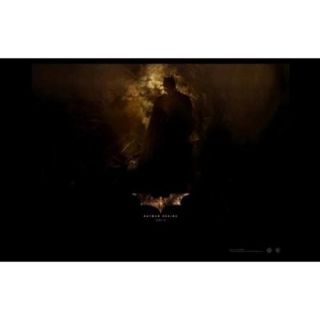 Batman Begins Movie Poster (17 x 11)