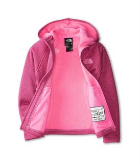 The North Face Kids HW Agave Hoodie (Little Kids/Big Kids) Luminous Pink
