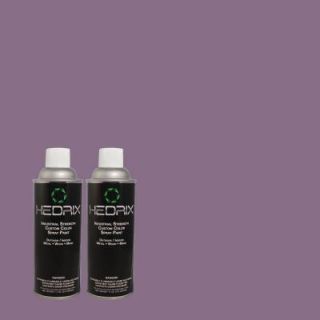 Hedrix 11 oz. Match of 650D 6 Purple Silhouette Gloss Custom Spray Paint (2 Pack) G02 650D 6