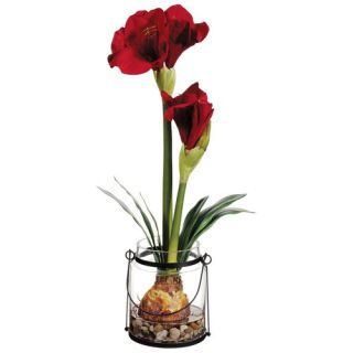 Silk Flower Depot 24 Amaryllis with Bulb in Glass Vase