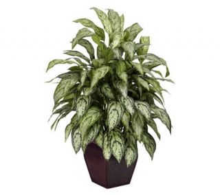 Silver Queen with Decorative Planter Plant by Nearly Natural —