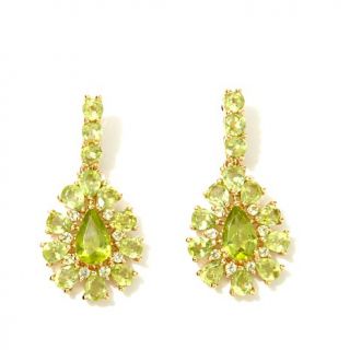 Technibond® Floral Design Gemstone Drop Earrings   7882714