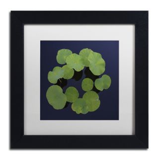 Kurt Shaffer Giant Lily Pad Abstract Framed Matted Art   16976679