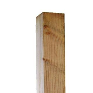 Pressure Treated Timber #2 Hi Bor (Common: 4 in. x 4 in. x 8 ft.; Actual: 3.56 in. x 3.56 in. x 96 in.) 95337