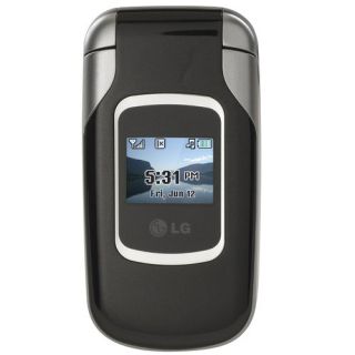 Net 10 LG 220C Prepaid Cell Phone