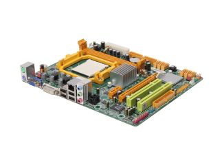BIOSTAR A780G M2+ SE AM2+/AM2 AMD 780G Micro ATX AMD Motherboard