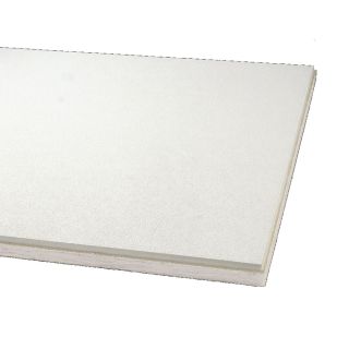 Armstrong 12 Pack Ceiling Tiles (Actual: 47.625 in x 23.625 in)