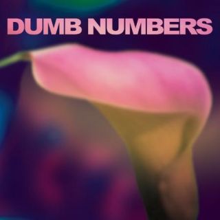 Dumb Numbers (Vinyl)
