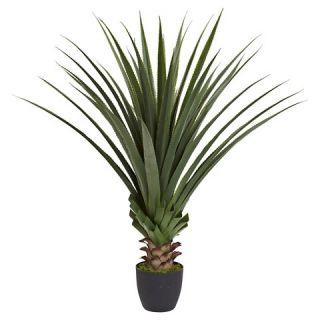 Spiked Agave Plant in Pot   Green (4)
