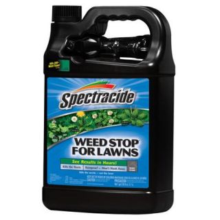 Spectracide Weed Stop for Lawns Ready to Use Gallon