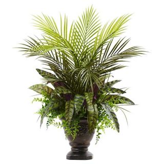 Palm Fern and Peacock with Planter   Green (27 )