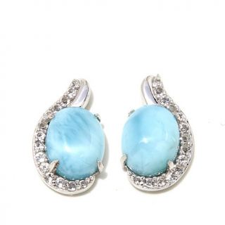 Colleen Lopez "Caribbean Cool" Larimar and White Topaz Sterling Silver Stud Ear   8045583